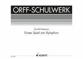  Erstes Spiel am Xylophon | Sonstiges |  Sack Fachmedien