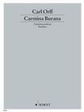  Carmina Burana | Buch |  Sack Fachmedien