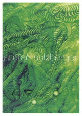 Schweizerischer Kunstverein |  Stefan Sulzberger | Buch |  Sack Fachmedien