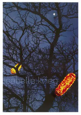 Schweizerischer Kunstverein |  Isabelle Krieg | Buch |  Sack Fachmedien