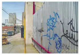 Schweizerischer Kunstverein |  Arno Hassler | Buch |  Sack Fachmedien