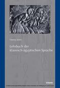 Jenni |  Lehrbuch der klassisch-ägyptischen Sprache | eBook | Sack Fachmedien