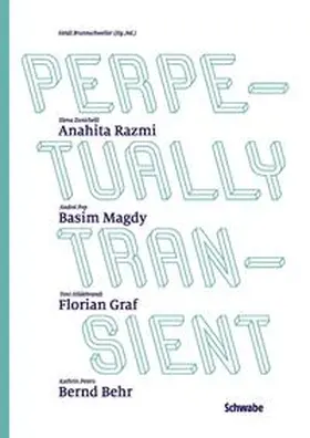 Brunnschweiler / Hildebrandt / Peters | Perpetually Transient | Buch | 978-3-7965-3409-6 | sack.de
