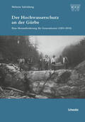 Salvisberg |  Der Hochwasserschutz an der Gürbe | Buch |  Sack Fachmedien