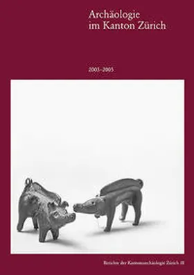 Bader / Eberschweiler / Jauch |  Archäologie im Kanton Zürich 2003–2005 | Buch |  Sack Fachmedien