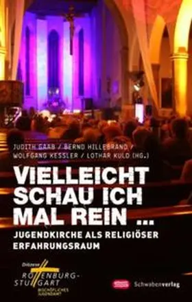 Gaab / Hillebrand / Kessler |  Vielleicht schau ich mal rein .... | Buch |  Sack Fachmedien