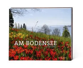 Zimmermann |  Am Bodensee | Buch |  Sack Fachmedien