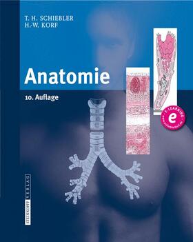 Schiebler / Korf | Anatomie | Buch | 978-3-7985-1770-7 | sack.de