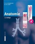 Schiebler / Korf |  Anatomie | Buch |  Sack Fachmedien