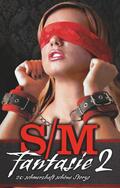 Stein / Kane / Steel |  S/M-Fantasie 2 | Buch |  Sack Fachmedien