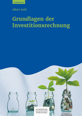 Galli | Grundlagen der Investitionsrechnung | E-Book | sack.de