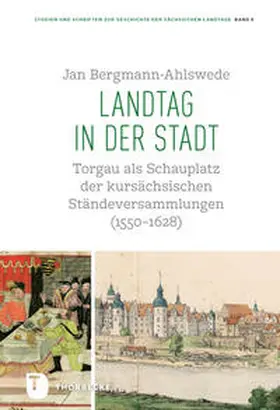 Bergmann-Ahlswede / Israel / Matzerath |  Landtag in der Stadt | Buch |  Sack Fachmedien