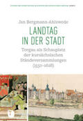 Bergmann-Ahlswede / Israel / Matzerath |  Landtag in der Stadt | Buch |  Sack Fachmedien