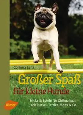 Lenz |  Großer Spaß für kleine Hunde | Buch |  Sack Fachmedien