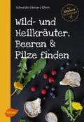 Schneider / Beiser / Gliem |  Wild- und Heilkräuter, Beeren und Pilze finden | Buch |  Sack Fachmedien