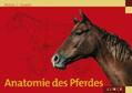 Goody |  Anatomie des Pferdes | eBook | Sack Fachmedien