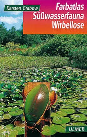 Grabow |  Farbatlas Süßwasserfauna. Wirbellose | Buch |  Sack Fachmedien