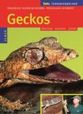 Henkel / Schmidt |  Geckos | Buch |  Sack Fachmedien