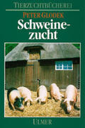 Glodek / Bollwahn / Hinrichs |  Schweinezucht | Buch |  Sack Fachmedien