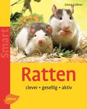 Gaßner / Kuhn |  Ratten | Buch |  Sack Fachmedien