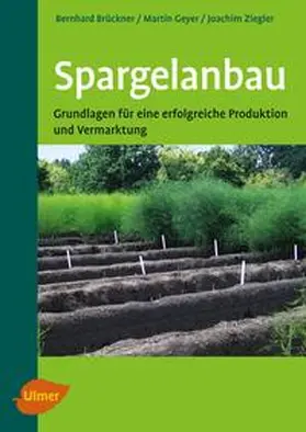 Brückner / Geyer / Ziegler |  Spargelanbau | Buch |  Sack Fachmedien