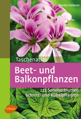 Haberer |  Taschenatlas Beet- und Balkonpflanzen | Buch |  Sack Fachmedien