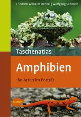 Henkel / Schmidt |  Taschenatlas Amphibien | Buch |  Sack Fachmedien