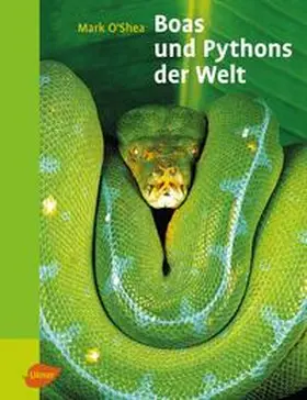 O'Shea |  Boas und Pythons der Welt | Buch |  Sack Fachmedien