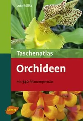 Röllke |  Taschenatlas Orchideen | Buch |  Sack Fachmedien