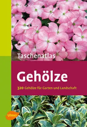 Haberer |  Taschenatlas Gehölze | Buch |  Sack Fachmedien