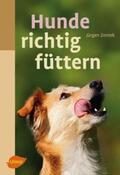 Zentek |  Hunde richtig füttern | Buch |  Sack Fachmedien