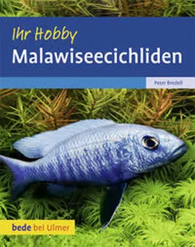 Bredell |  Malawiseecichliden | Buch |  Sack Fachmedien