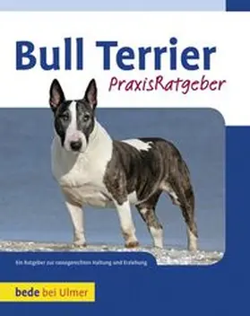 Gibson |  Bull Terrier | Buch |  Sack Fachmedien