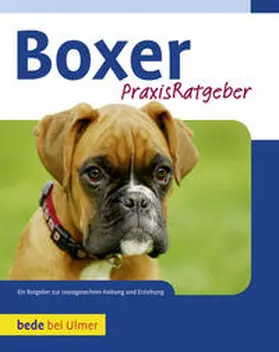 Fritz |  Boxer | Buch |  Sack Fachmedien