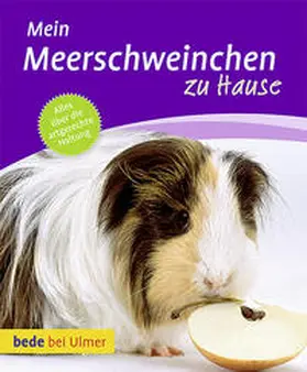 Dietz / Schneider |  Mein Meerschweinchen zu Hause | Buch |  Sack Fachmedien