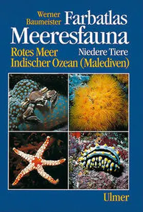 Baumeister |  Meeresfauna - Niedere Tiere | Buch |  Sack Fachmedien