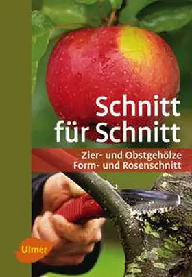 Hübscher / Beltz / Großmann |  Schnitt für Schnitt | Buch |  Sack Fachmedien