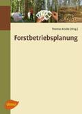 Knoke / Grieß / Hahn |  Forstbetriebsplanung als Entscheidungshilfe | Buch |  Sack Fachmedien