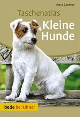 Laukner |  Taschenatlas Kleine Hunde | Buch |  Sack Fachmedien