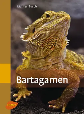 Busch |  Bartagamen | Buch |  Sack Fachmedien