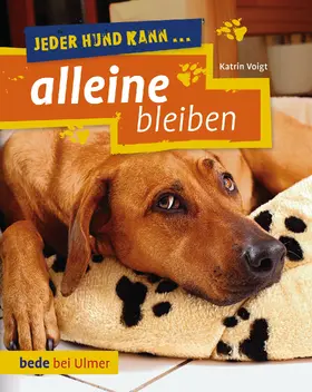 Voigt |  Jeder Hund kann alleine bleiben | Buch |  Sack Fachmedien