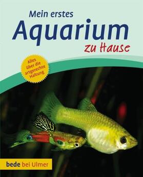 Degen |  Mein erstes Aquarium zu Hause | Buch |  Sack Fachmedien