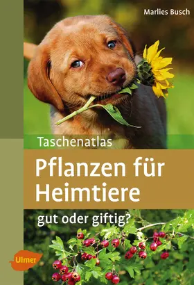Busch |  Taschenatlas Pflanzen für Heimtiere | Buch |  Sack Fachmedien