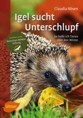 Rösen | Igel sucht Unterschlupf | Buch | 978-3-8001-8279-4 | www.sack.de
