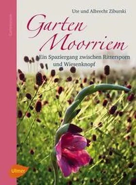 Ziburski |  Garten Moorriem | eBook | Sack Fachmedien