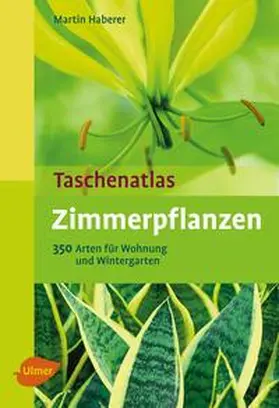 Haberer |  Zimmerpflanzen | eBook | Sack Fachmedien