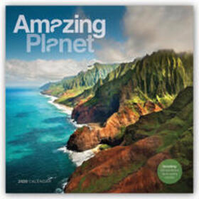 Carousel Calendars | Amazing Planet - Fantastischer Planet 2020 | Sonstiges | 978-3-8003-3635-7 | sack.de