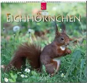 EICHHÖRNCHEN | Sonstiges | 978-3-8003-5757-4 | www.sack.de