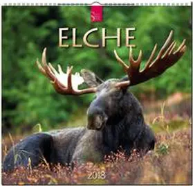 ELCHE | Sonstiges | 978-3-8003-5759-8 | www.sack.de