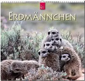 ERDMÄNNCHEN | Sonstiges | 978-3-8003-5761-1 | www.sack.de